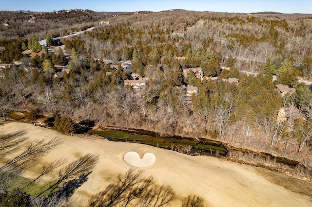 60 Mayberry Cir, Branson West, MO 65737 - view of property location featuring a forest