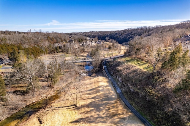 60 Mayberry Cir, Branson West, MO 65737 - aerial view of property and surrounding area