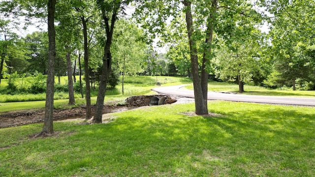 4269 S 93rd Rd, Bolivar, MO 65613