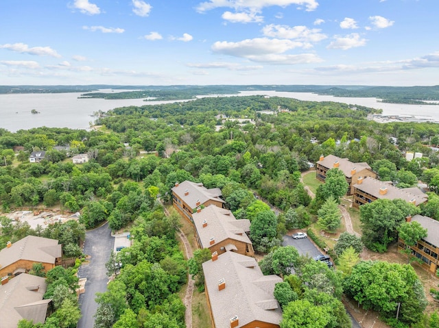 160 Village Trl, Indian Point, MO 65616 - bird's eye view of a large body of water