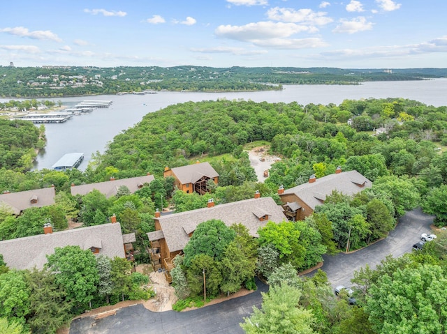 160 Village Trl, Indian Point, MO 65616 - bird's eye view of a large body of water