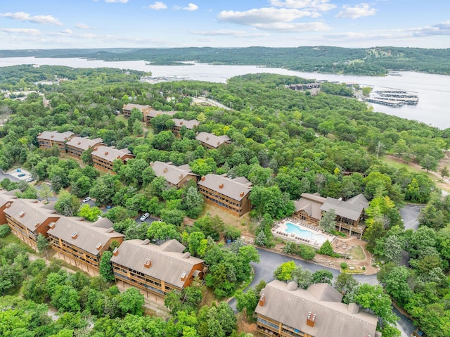 160 Village Trl, Indian Point, MO 65616 - bird's eye view of a large body of water and a forest