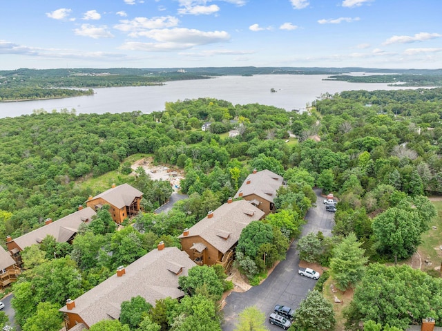 160 Village Trl, Indian Point, MO 65616 - aerial view of residential area featuring a large body of water and a heavily wooded area