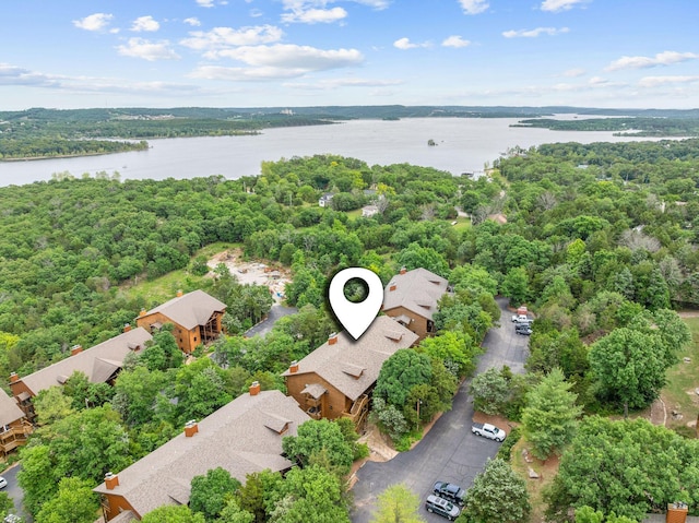 160 Village Trl, Indian Point, MO 65616 - bird's eye view of a nearby body of water and a forest