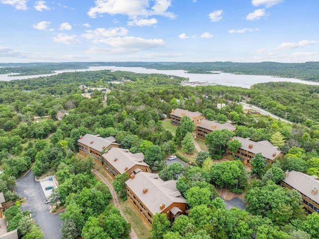 160 Village Trl, Indian Point, MO 65616 - drone / aerial view of a large body of water and a heavily wooded area