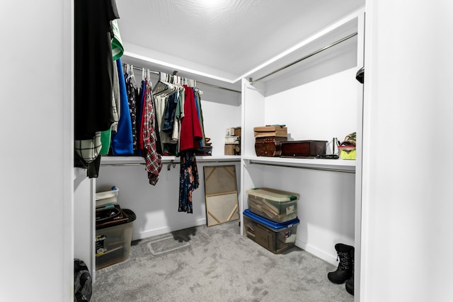 1682 Vicksburg Psge, Republic, MO 65738 - walk in closet featuring carpet