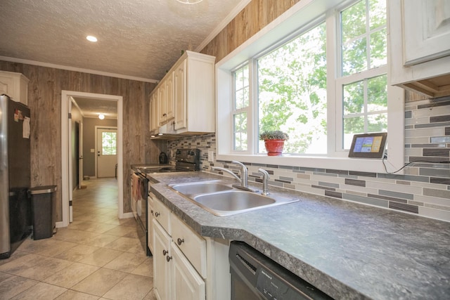4857 S 101st Rd, Bolivar, MO 65613 - kitchen featuring black electric range, a sink, wood walls, decorative backsplash, and freestanding refrigerator