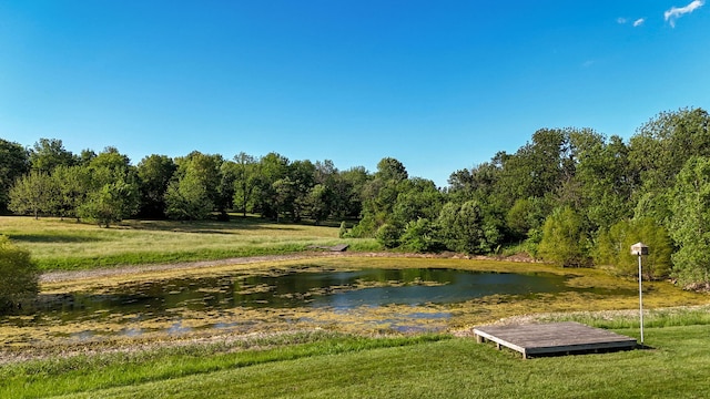 7519 W Farm Rd Unit 194, Republic, MO 65738 - view of property's community with a water view