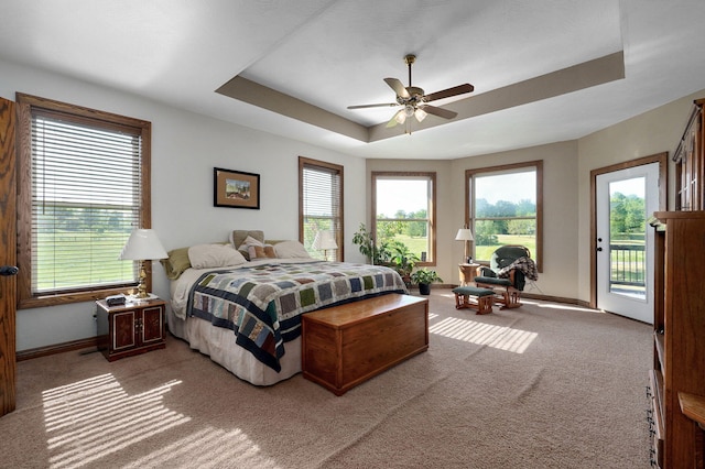 7519 W Farm Rd Unit 194, Republic, MO 65738 - bedroom with access to exterior, carpet, a tray ceiling, baseboards, and multiple windows