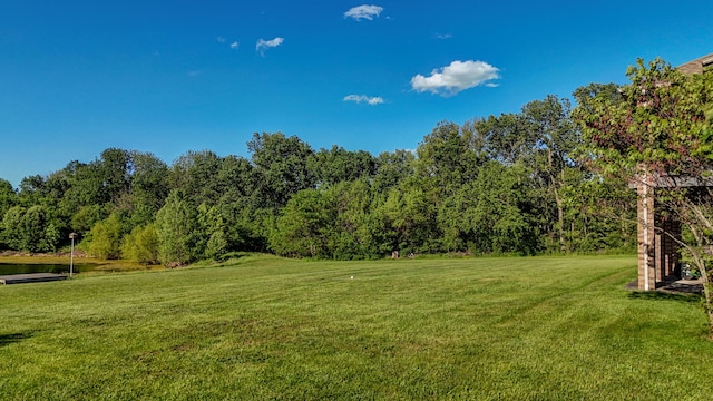 7519 W Farm Rd Unit 194, Republic, MO 65738 - view of green lawn