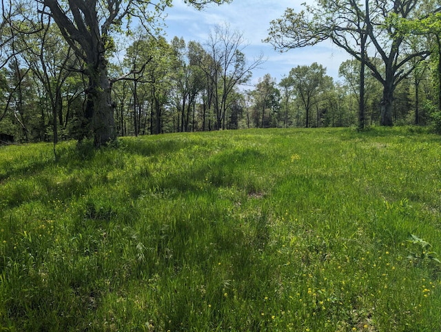 000 State Highway 248, Galena, MO 65656