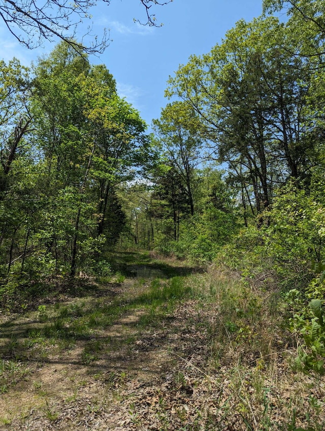000 State Highway 248, Galena, MO 65656