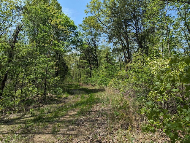 000 State Highway 248, Galena, MO 65656