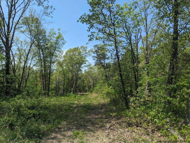 000 State Highway 248, Galena, MO 65656