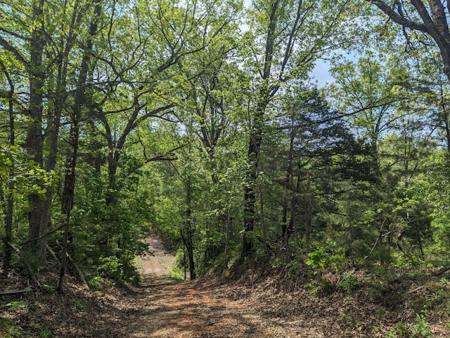 000 State Highway 248, Galena, MO 65656
