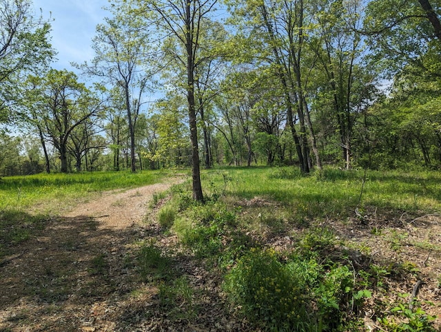 000 State Highway 248, Galena, MO 65656