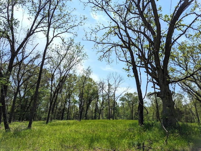 000 State Highway 248, Galena, MO 65656