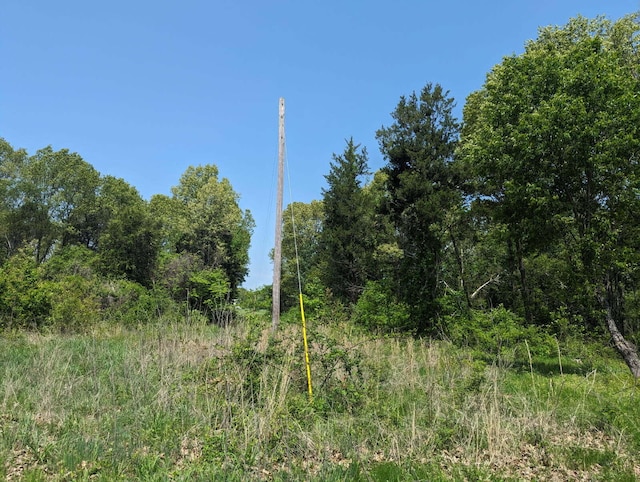 000 State Highway 248, Galena, MO 65656