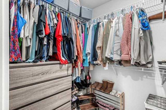 1142 S Broadview Ave, Springfield, MO 65802 - view of spacious closet