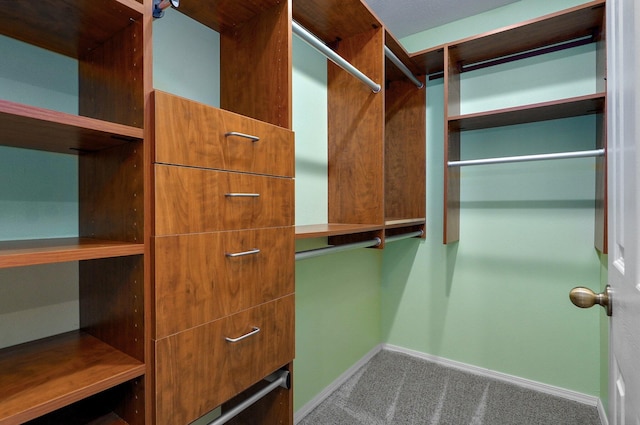 382 S Yellowwood Dr, Springfield, MO 65809 - walk in closet featuring carpet flooring