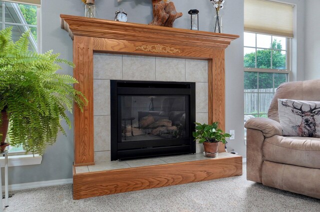 382 S Yellowwood Dr, Springfield, MO 65809 - detailed view of a fireplace, speckled floor, and baseboards