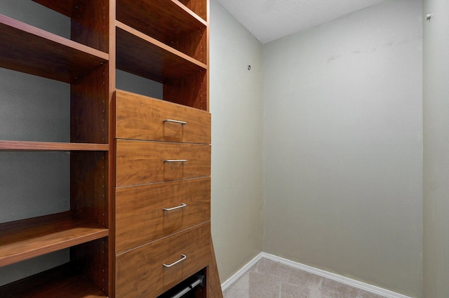 382 S Yellowwood Dr, Springfield, MO 65809 - spacious closet with carpet