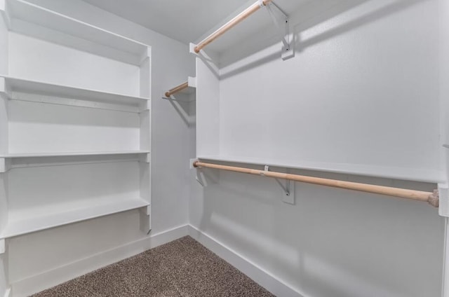 1108 W Pebblebrooke Dr, Ozark, MO 65721 - walk in closet with dark carpet