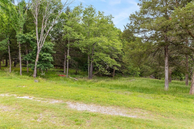 1394 Bee Creek Rd, Branson, MO 65616 - view of yard featuring a forest view