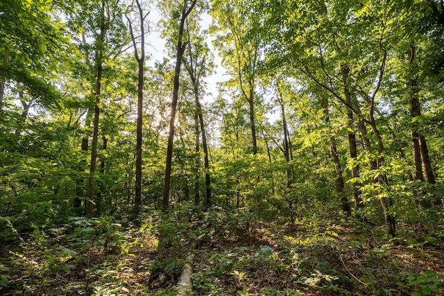 1219 Farm Rd Unit 2267, Washburn, MO 65772
