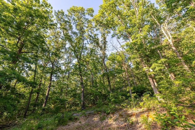 1219 Farm Rd Unit 2267, Washburn, MO 65772