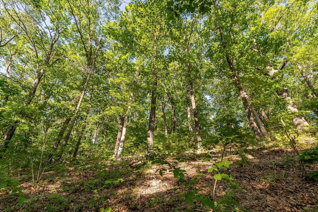 1219 Farm Rd Unit 2267, Washburn, MO 65772