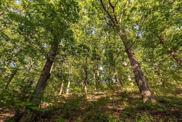 1219 Farm Rd Unit 2267, Washburn, MO 65772
