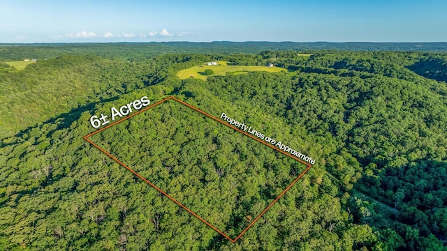 1219 Farm Rd Unit 2267, Washburn, MO 65772