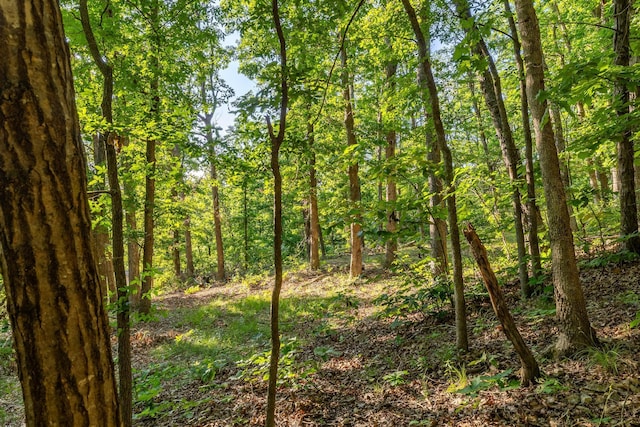 1219 Farm Rd Unit 2267, Washburn, MO 65772
