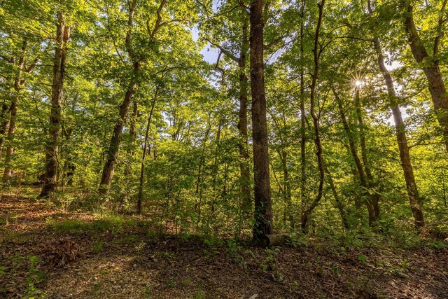 1219 Farm Rd Unit 2267, Washburn, MO 65772