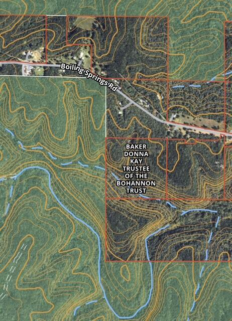 000 Boiling Springs Rd, Licking, MO 65542