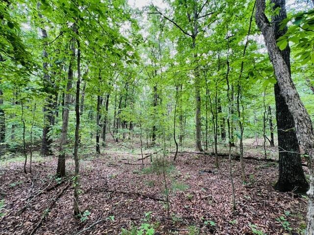 000 Boiling Springs Rd, Licking, MO 65542