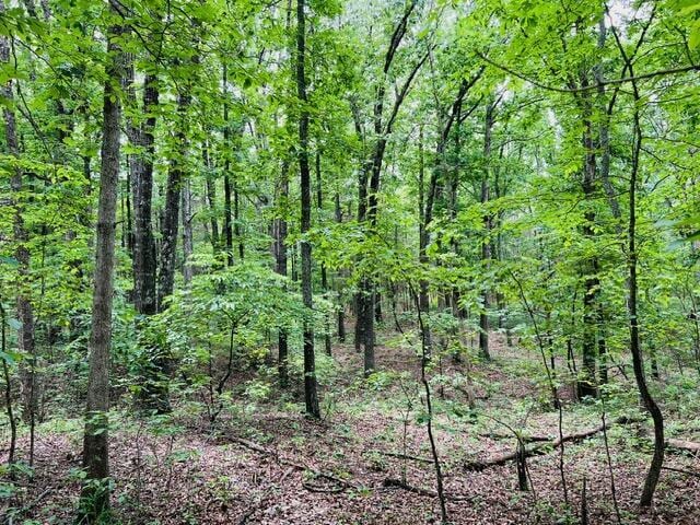 000 Boiling Springs Rd, Licking, MO 65542