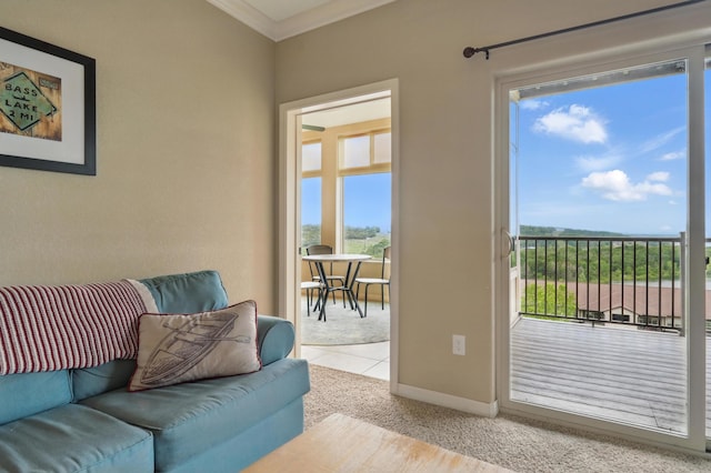 200 Majestic Dr Unit 1-208, Branson, MO 65616 - living room with baseboards, ornamental molding, and carpet