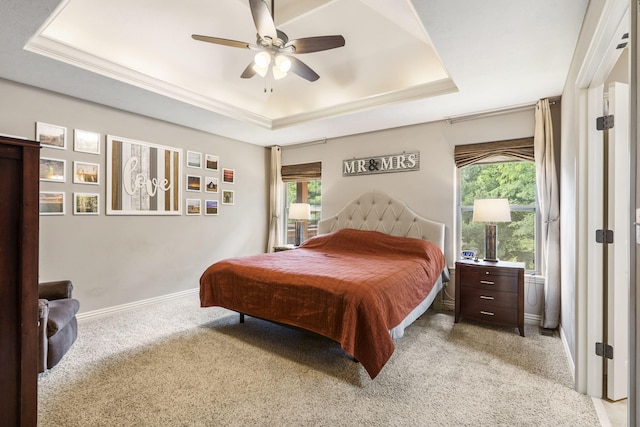 5142 S Burrows Ave, Springfield, MO 65810 - bedroom featuring a tray ceiling, light colored carpet, and multiple windows