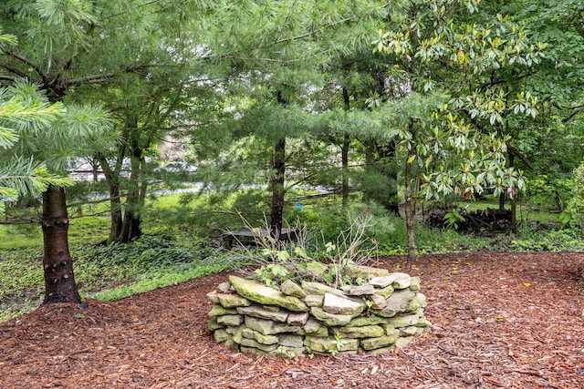 5142 S Burrows Ave, Springfield, MO 65810 - view of yard