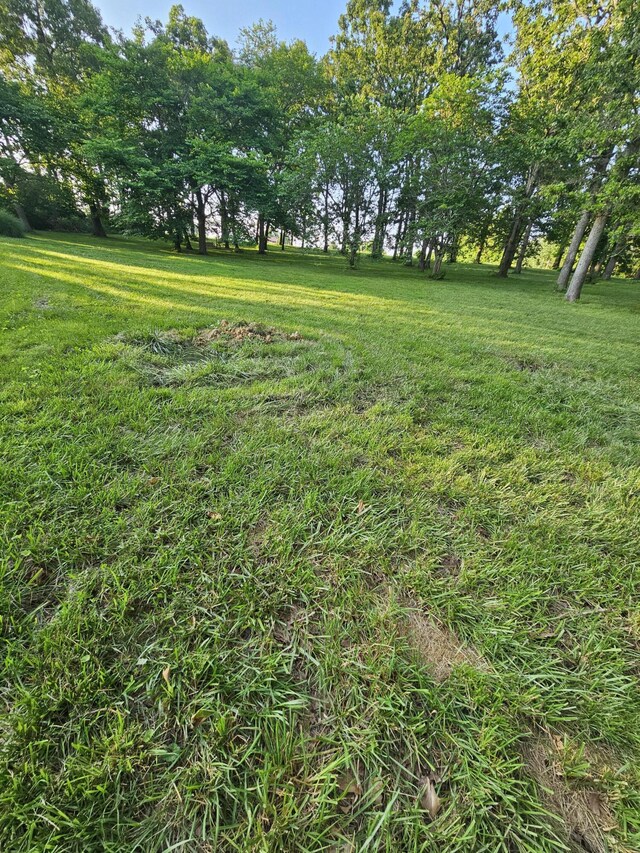 22389 Lawrence Unit 1215, Aurora, MO 65605 - view of green lawn