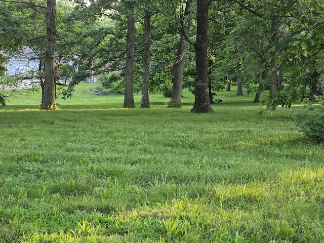 22389 Lawrence Unit 1215, Aurora, MO 65605 - view of green lawn
