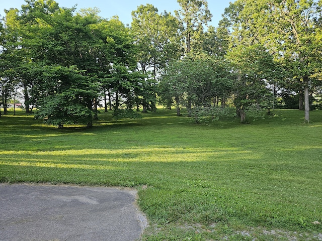 22389 Lawrence Unit 1215, Aurora, MO 65605 - view of green lawn