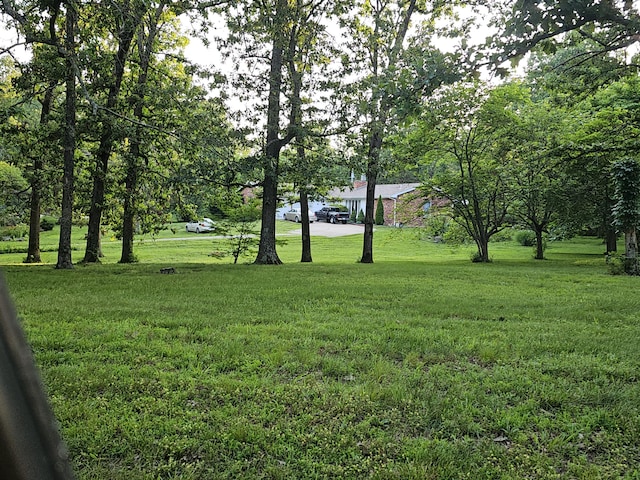 22389 Lawrence Unit 1215, Aurora, MO 65605 - view of grassy yard