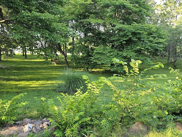 22389 Lawrence Unit 1215, Aurora, MO 65605 - view of grassy yard