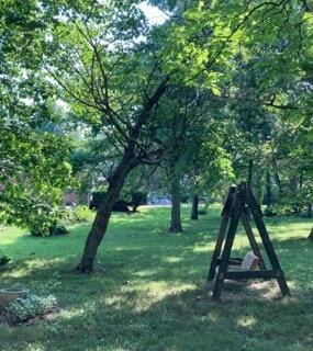 22389 Lawrence Unit 1215, Aurora, MO 65605 - view of grassy yard