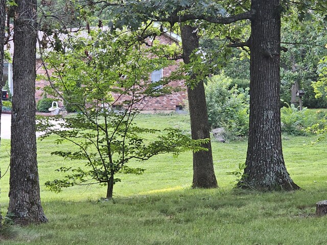 22389 Lawrence Unit 1215, Aurora, MO 65605 - view of green lawn