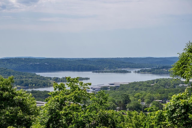 39 James River Rd, Kimberling City, MO 65686 - water view with a forest