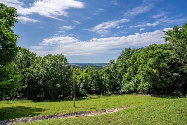 39 James River Rd, Kimberling City, MO 65686 - view of green lawn featuring a forest view
